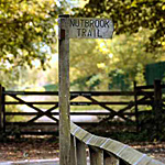 localphoto4.jpg